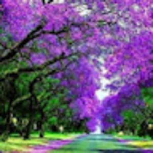 Meet your Posher, Teri